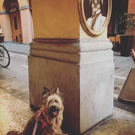 Rita E Mou In Centro A * 博洛尼亚